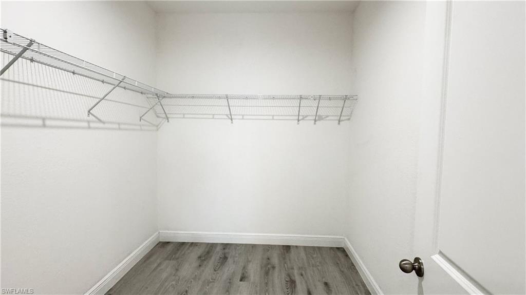 Walk-in closet featuring white painted walls and wood-finish flooring