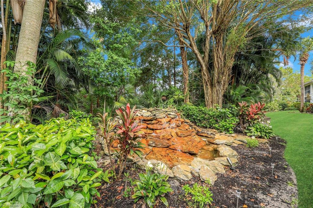 WATER FEATURE