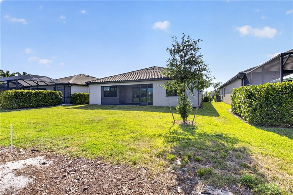 Expansive backyard with a manicured lawn, established shrubbery, and a young tree