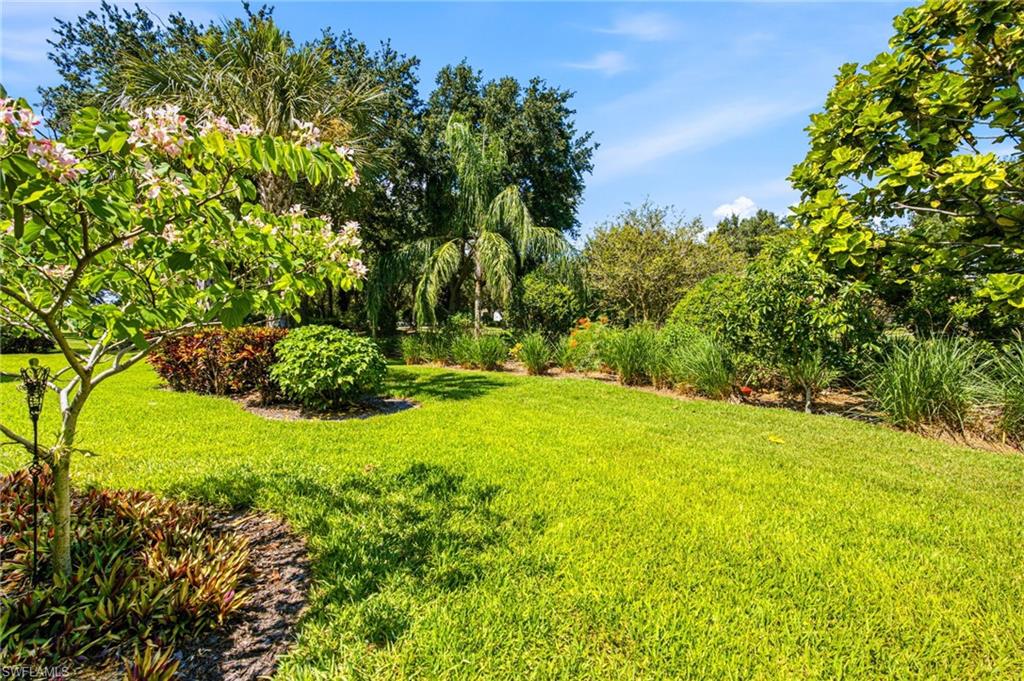 5203 Ciatto WAY photo 36