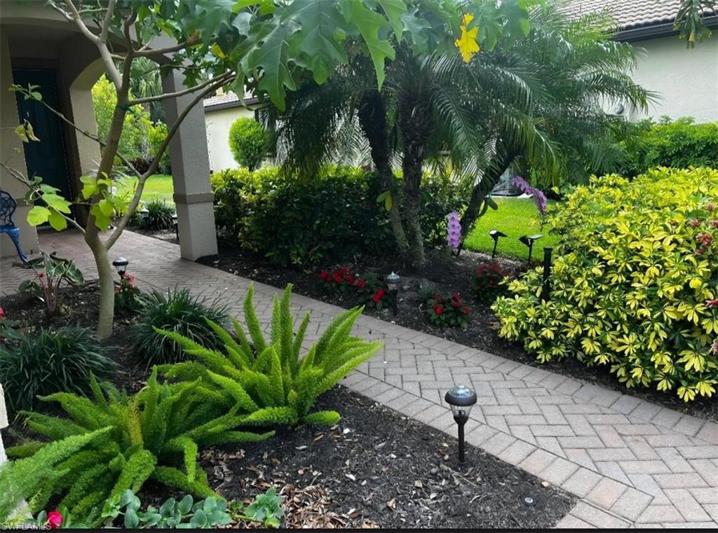 Flowers at front walkway
