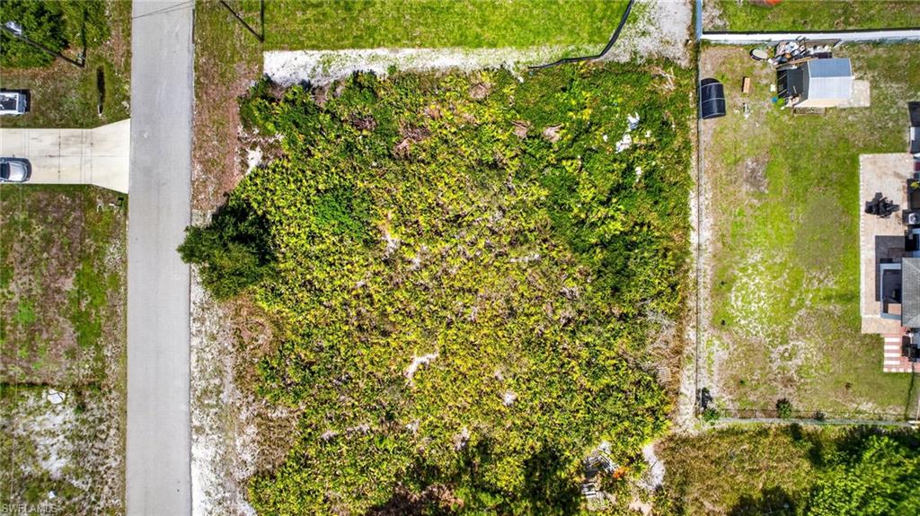 Expansive land parcel featuring natural vegetation and street frontage