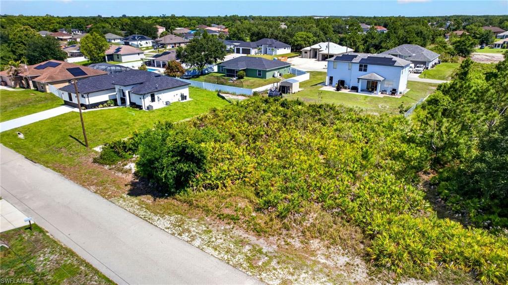 Expansive undeveloped lot featuring natural vegetation, adjacent to paved roadway