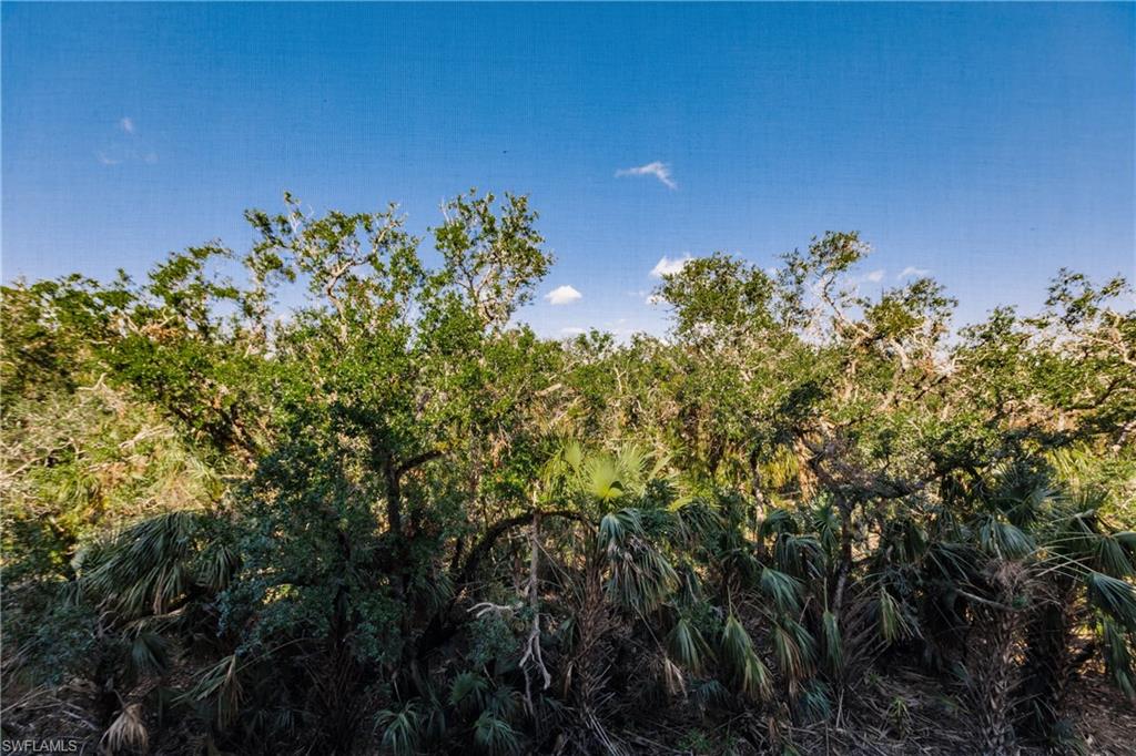 8331 Whiskey Preserve CIR 438 photo 23