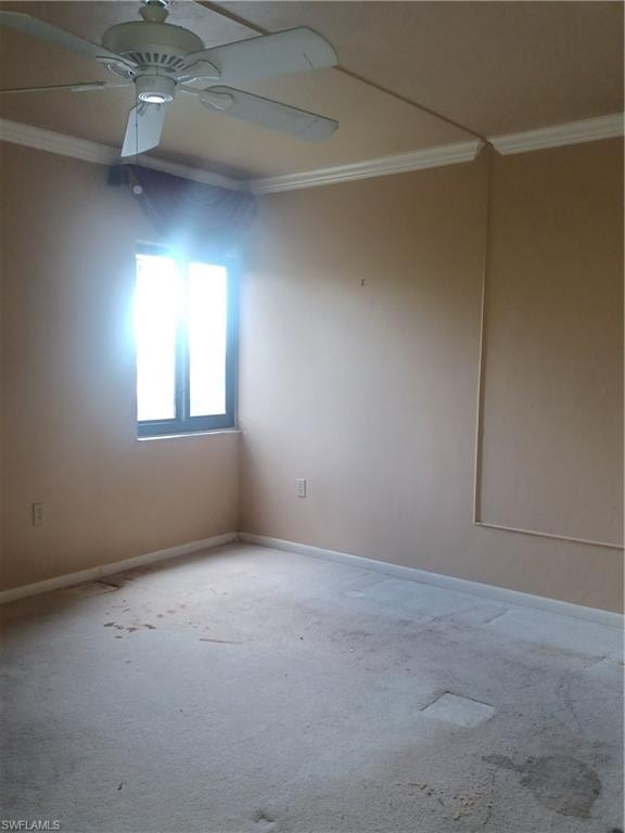 4100 Steamboat BEND E 401 photo 11