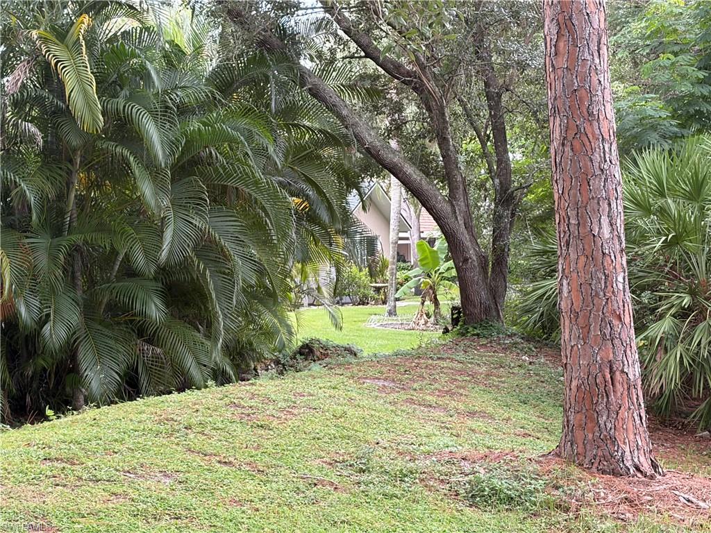 This is the view from the green area to show complete privacy from the backyard