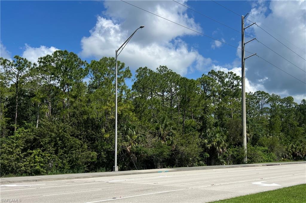 XXX Immokalee RD