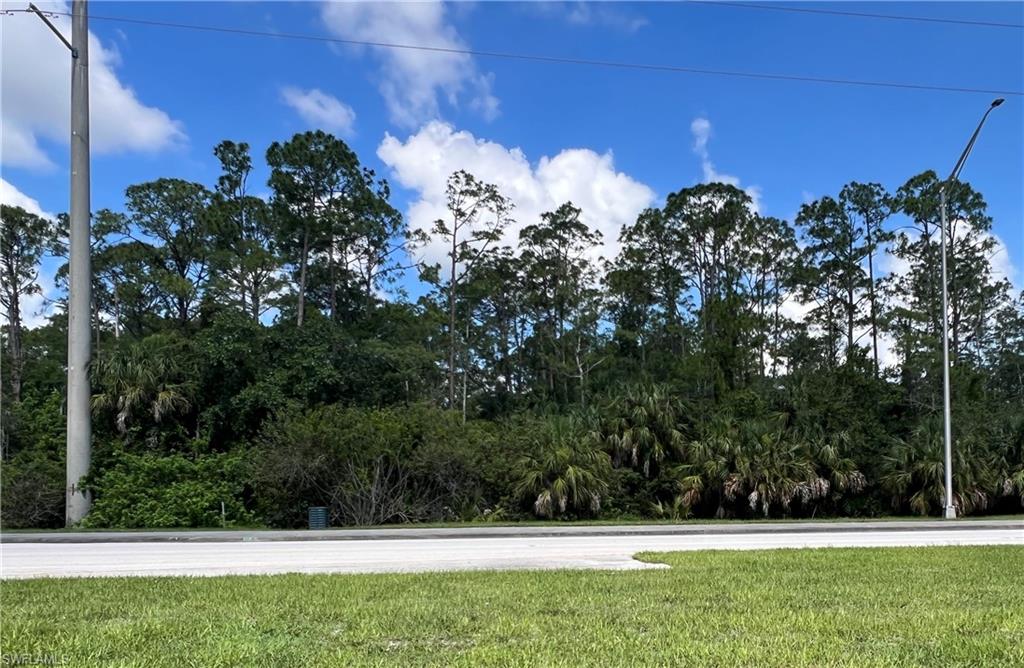 XXX Immokalee RD
