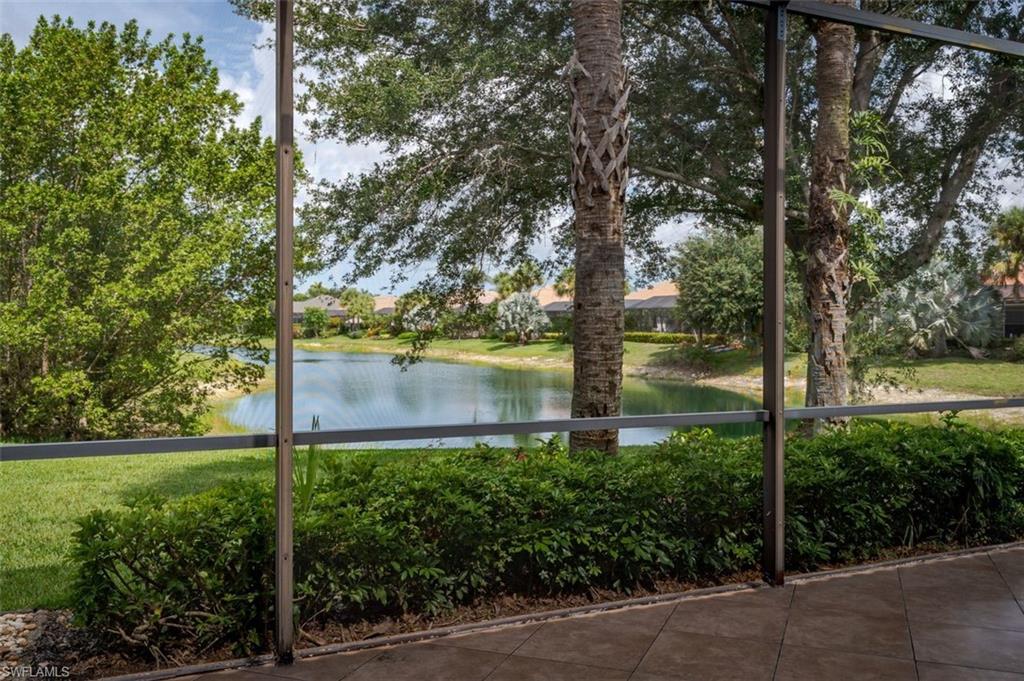 Backyard Serenity