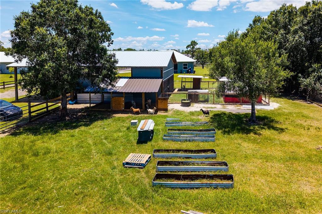 goat pasture and garden beds