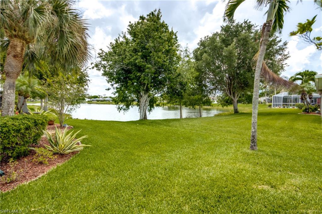 Water View