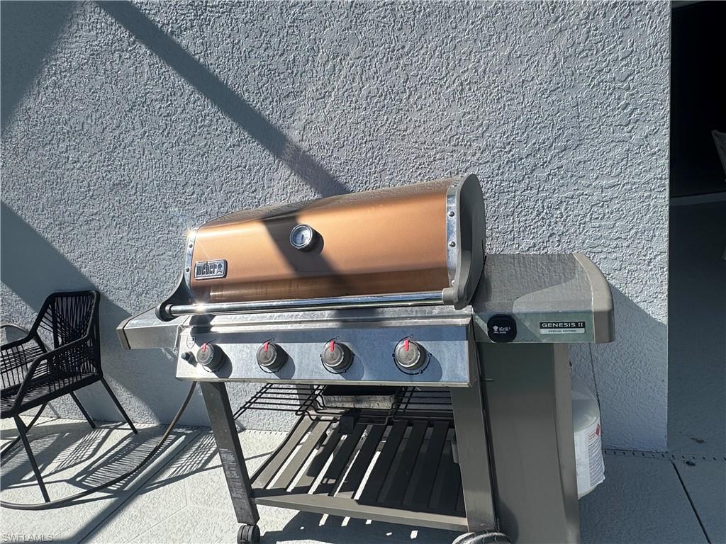 Gas Grill