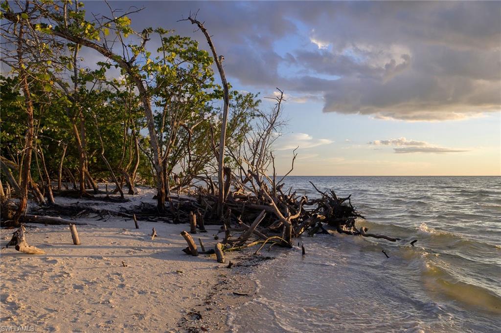 10420 Gulf Shore DR 161 photo 45