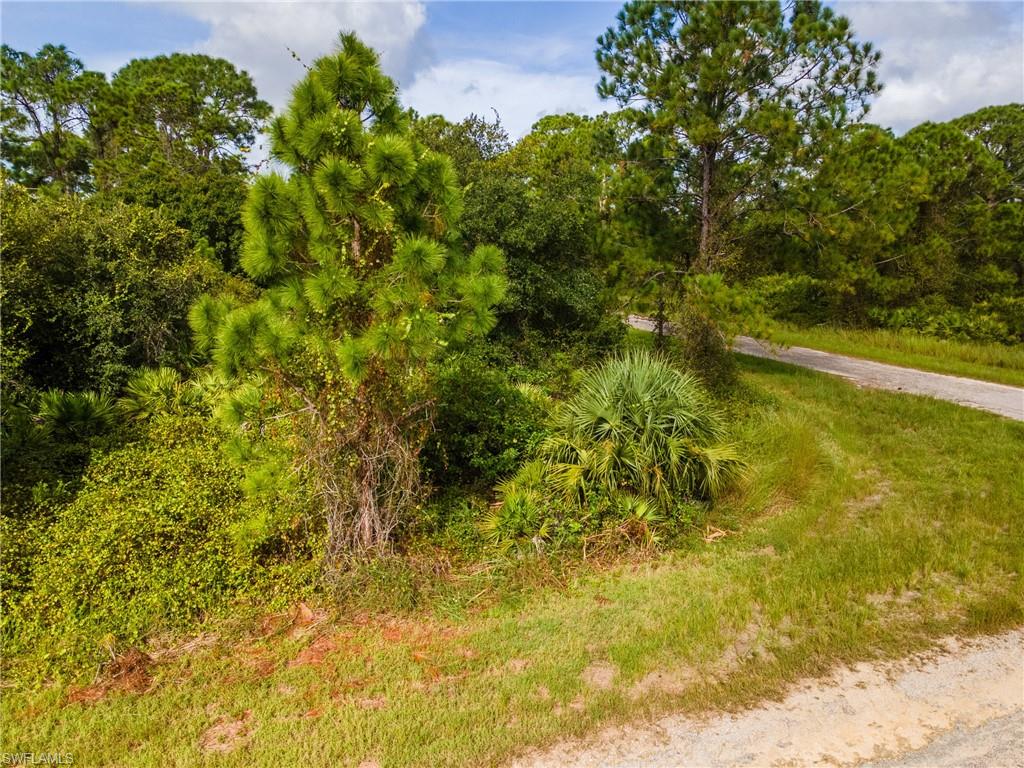 View of wooded area