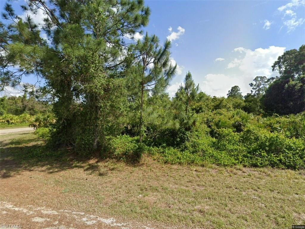 View of undeveloped land