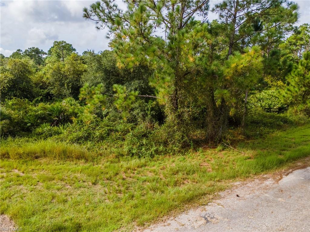 View of undeveloped land
