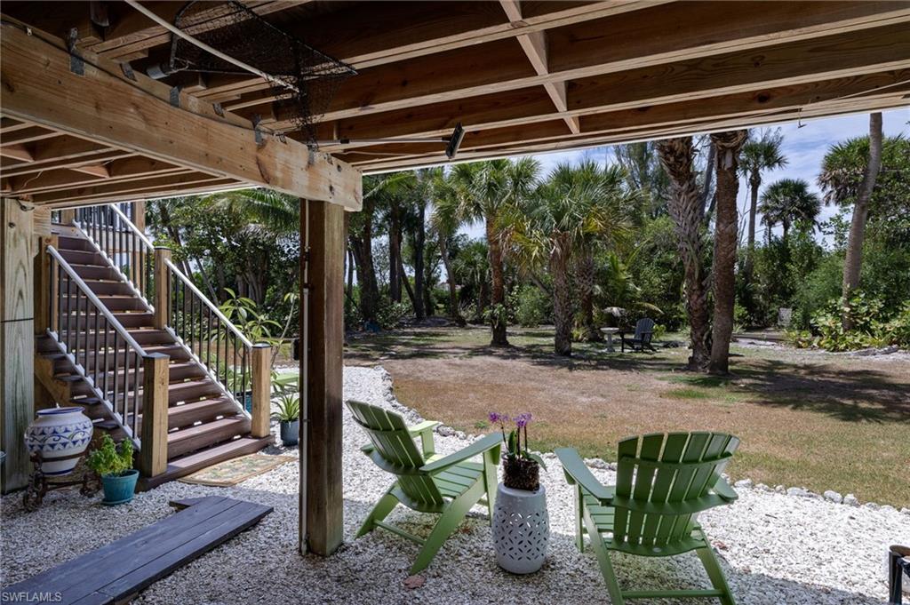 GORGEOUS Back Yard