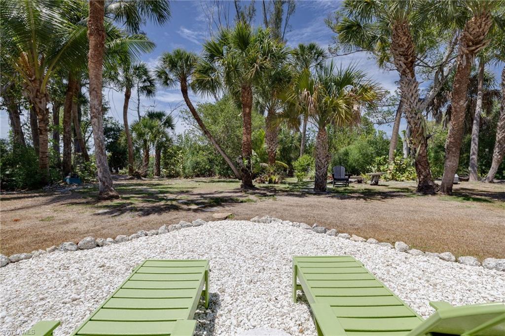 Paradise in the Back Yard