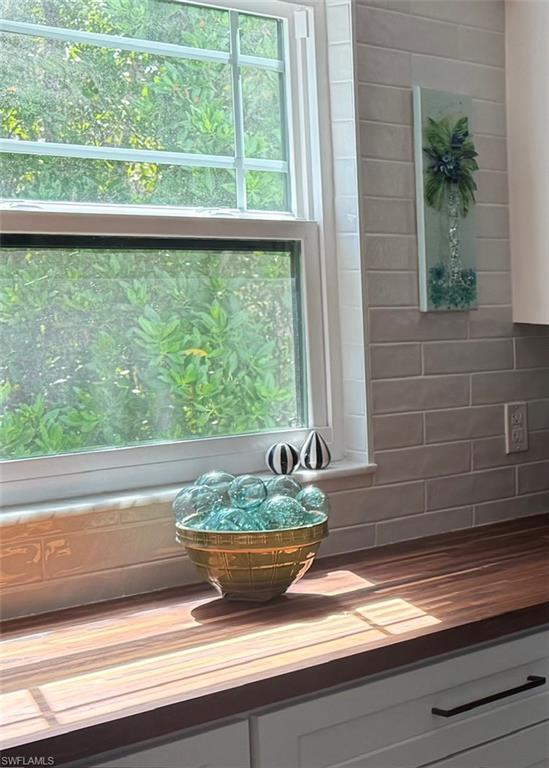 1318 Junonia ST photo 15