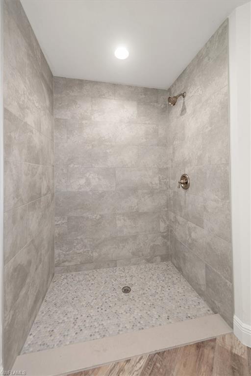 Primary shower view