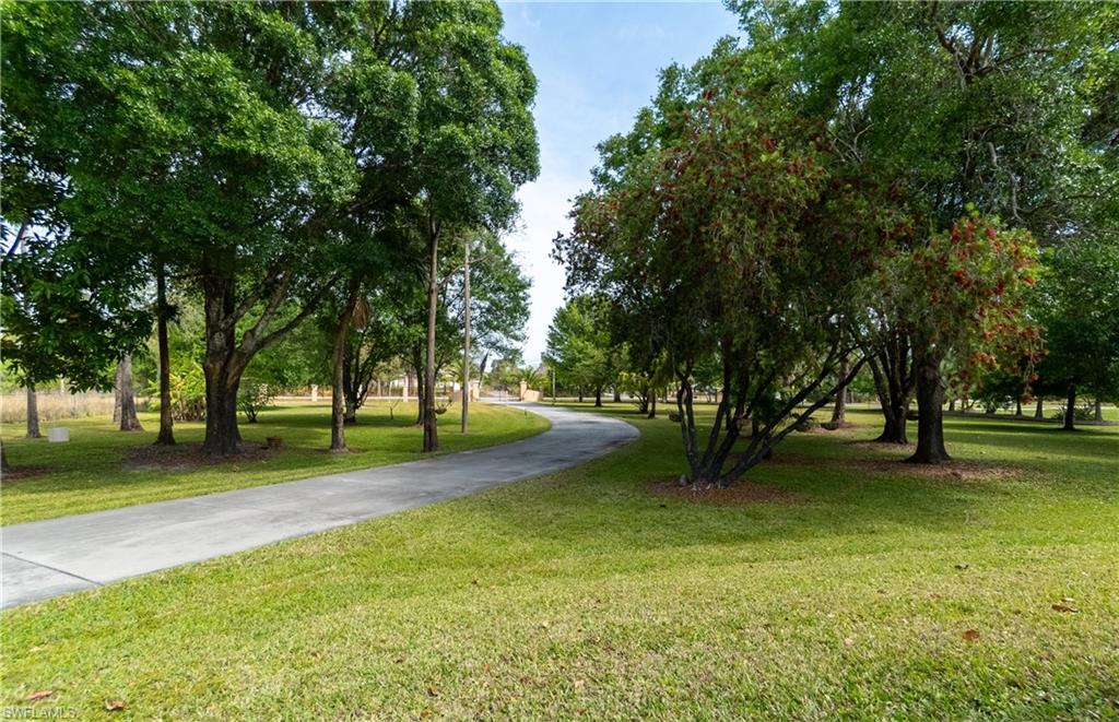 View of community featuring a lawn