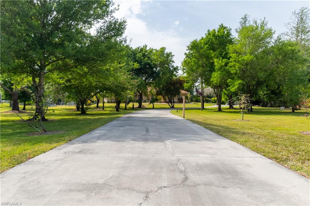 Surrounding community with a lawn and concrete driveway