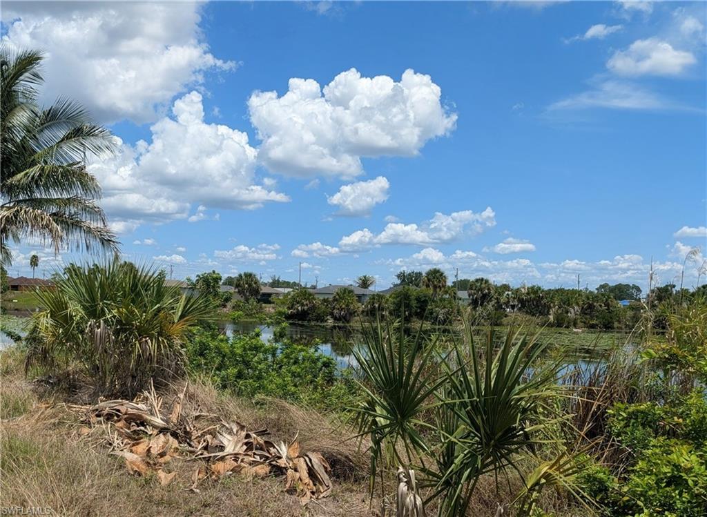 Waterfront parcel with lush vegetation and palm trees
