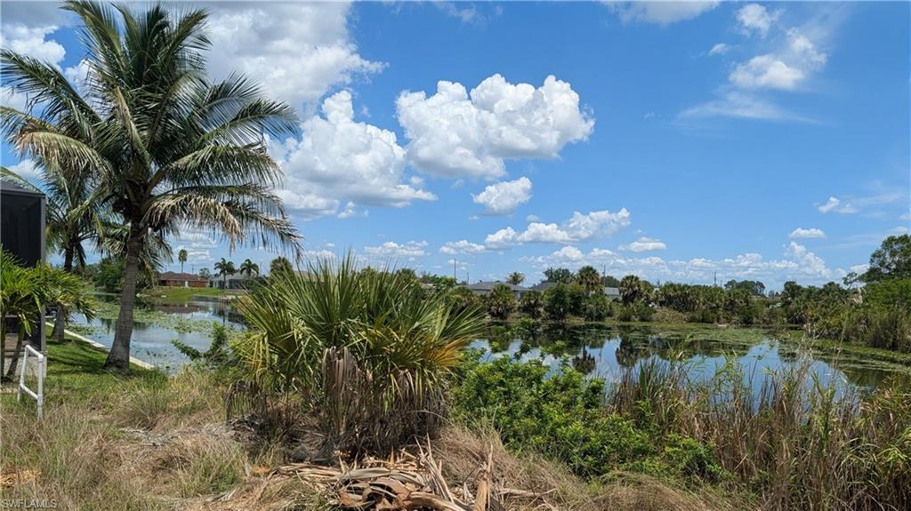 Expansive waterfront views featuring mature palm trees and lush greenery