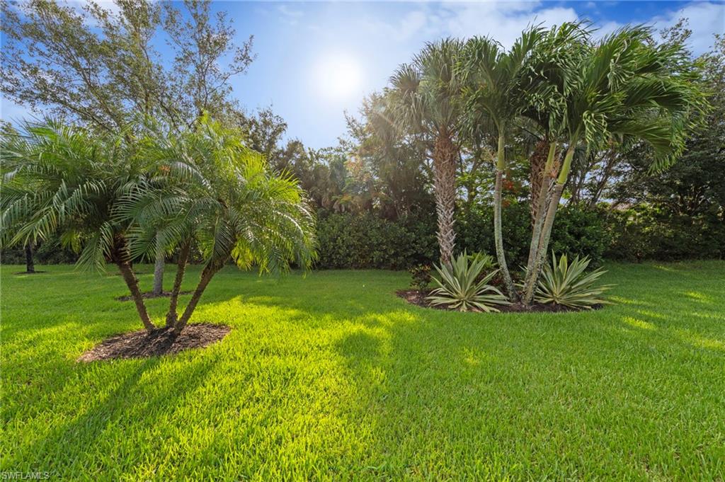 20247 Cypress Shadows BLVD photo 36