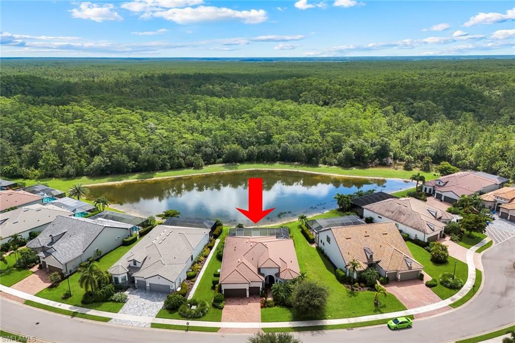 14238 Wild Timber CT