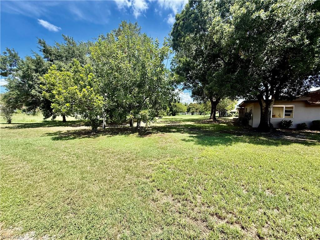 217 Oaklawn CT photo 6