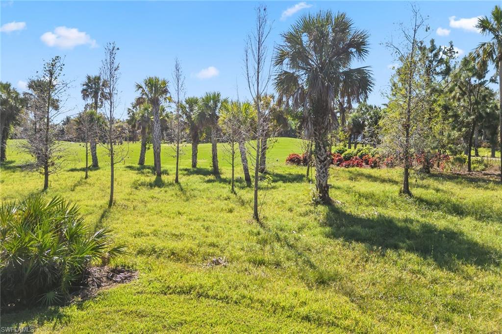 3878 Cotton Green Path DR photo 29