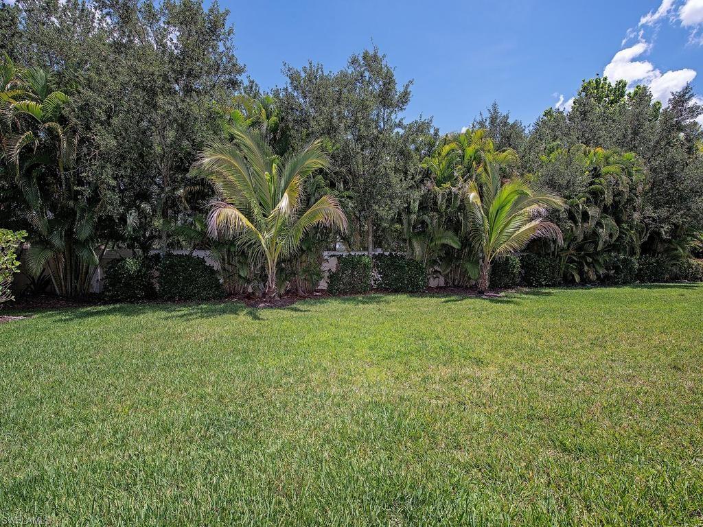 Private and tranquil. Plenty of room for pool.