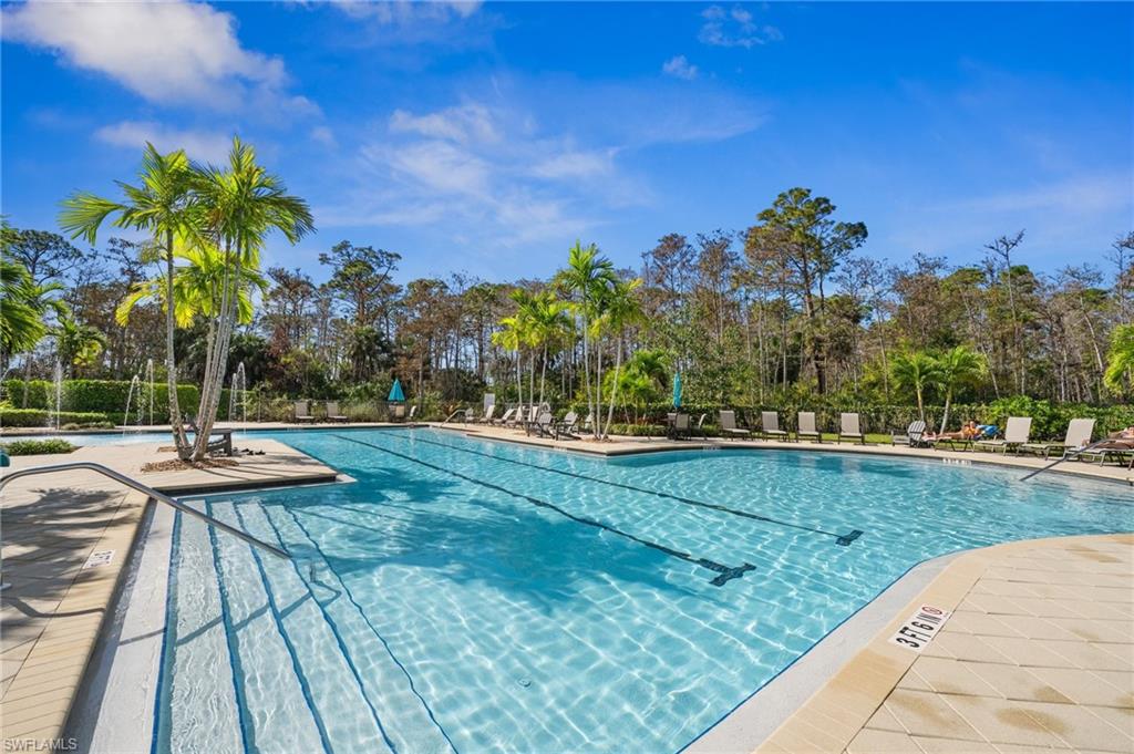 4115 Raffia DR photo 49