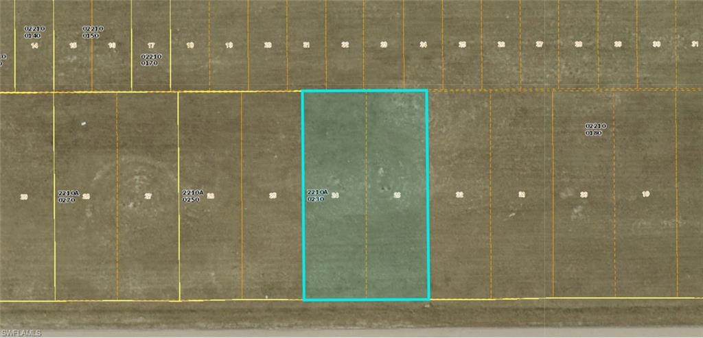 Plat Map. Illustrating the property's boundaries and surrounding parcels