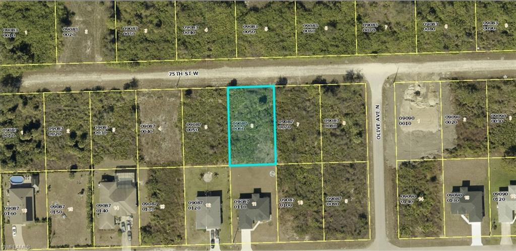 Plat Map. Illustrating the property boundaries and lot identification numbers