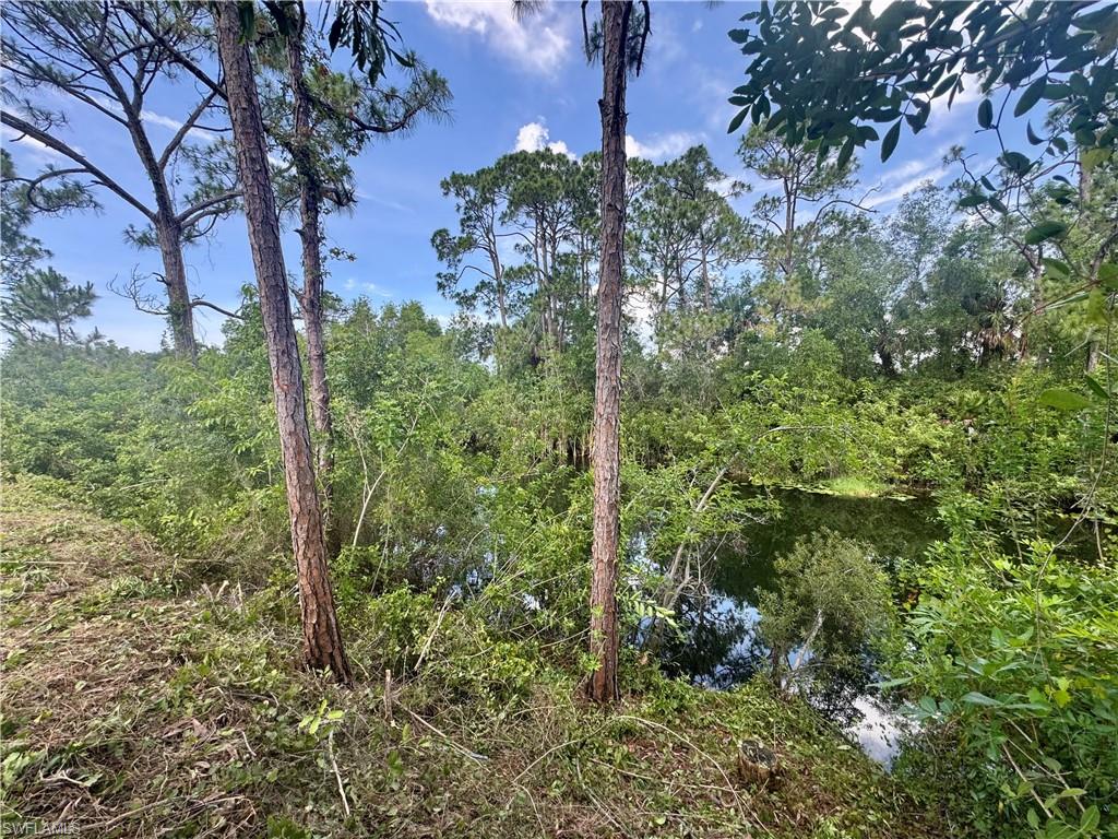 Nature