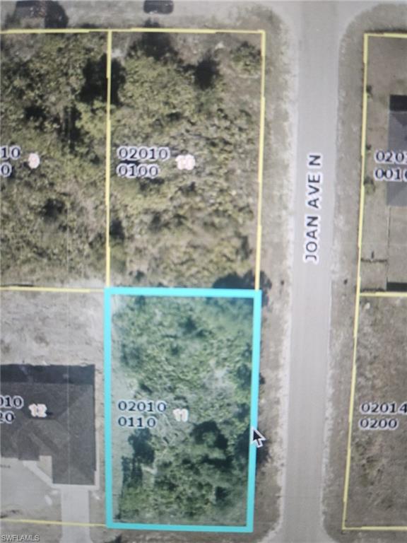 Parcel Map. Displaying the property's boundaries and identifying adjacent parcels along Joan Ave N