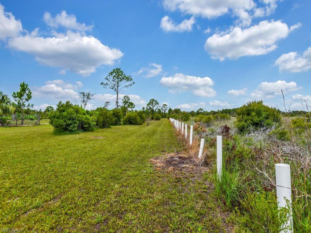 Posts Along Backside Of Property