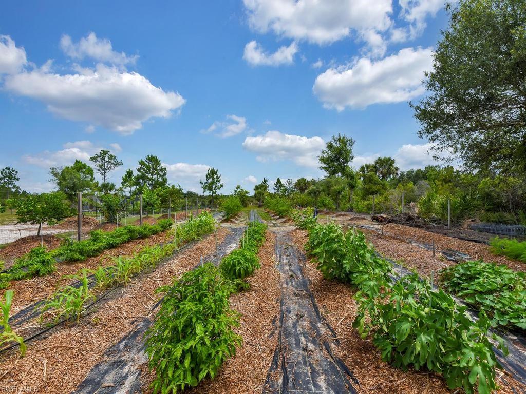 Fantastic Garden