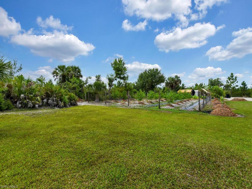 Rear View Of Garden
