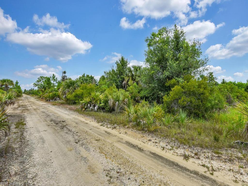Lot Line Along The Road