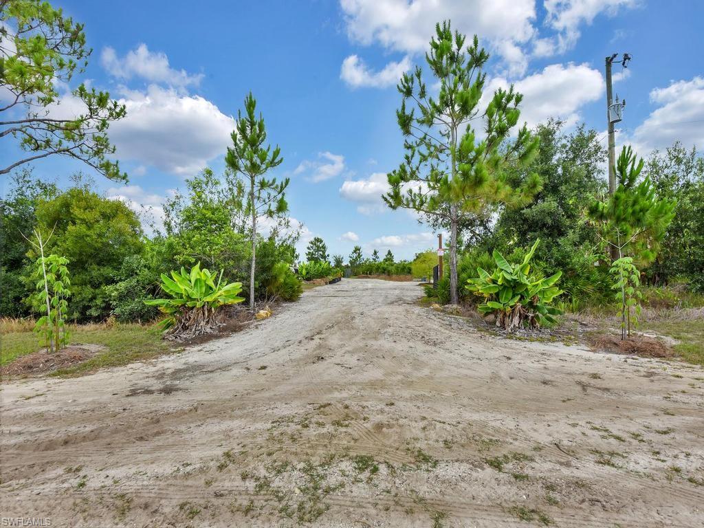 Wide Driveway