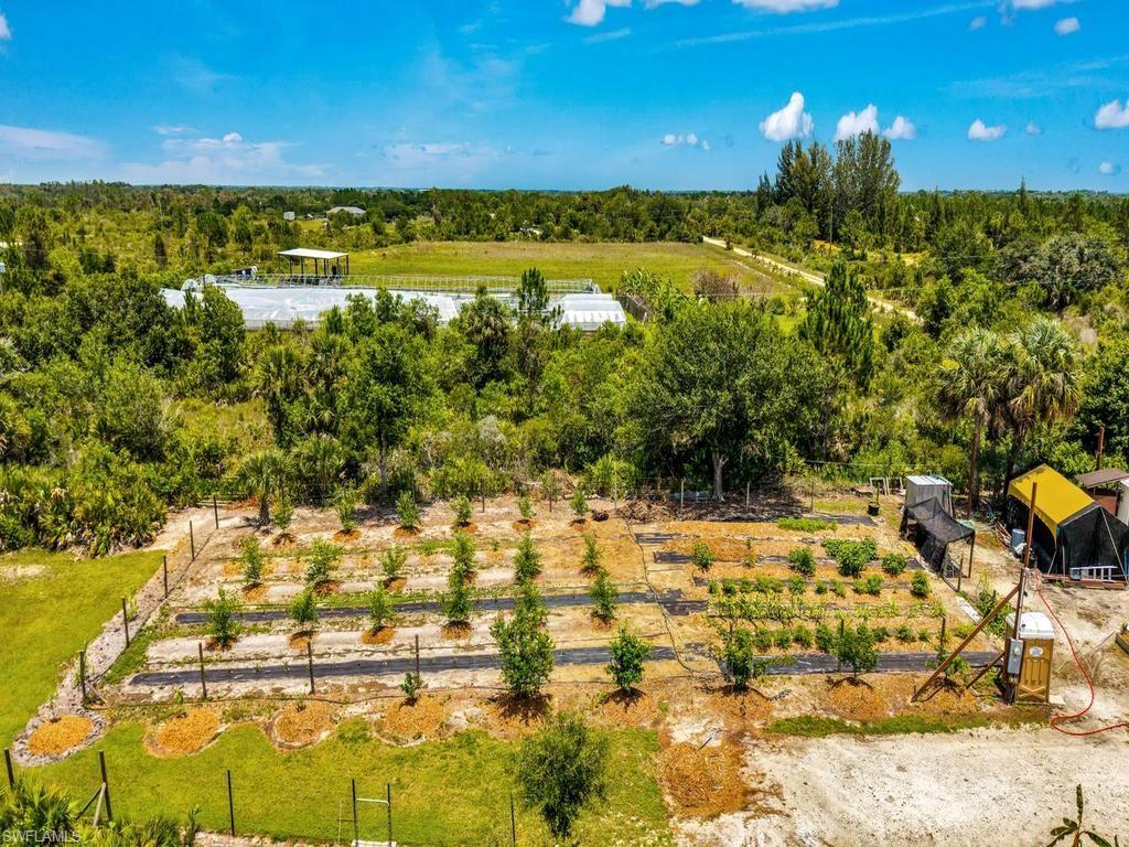 Wide Variety Of Plants & Trees