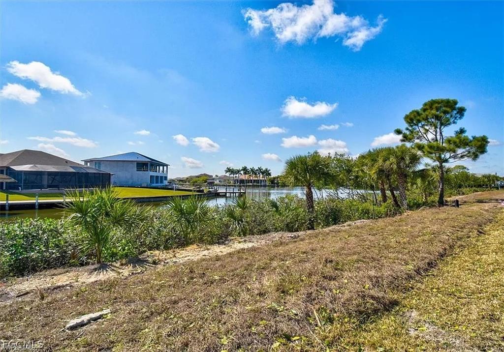 Waterfront property featuring natural vegetation, mature palm trees, and a distant dock structure
