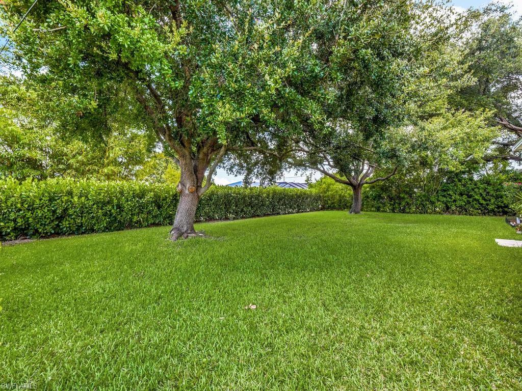 Fence-in Backyard & Privacy Hedages
