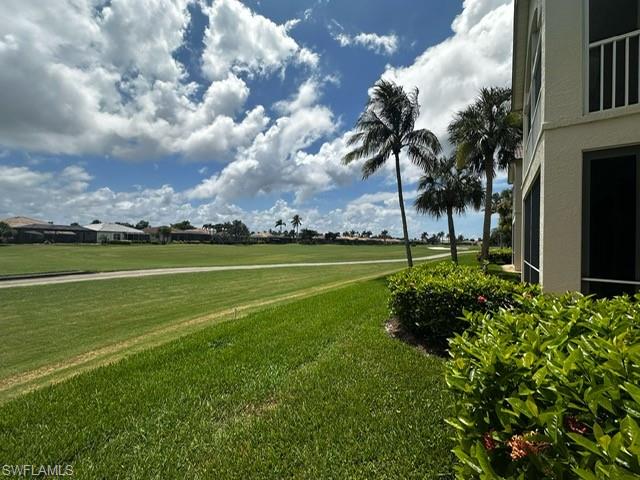 View of grassy yard