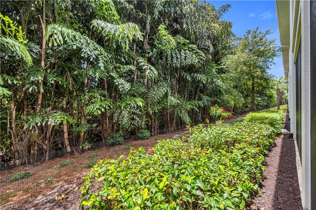 Rear Landscape Privacy View