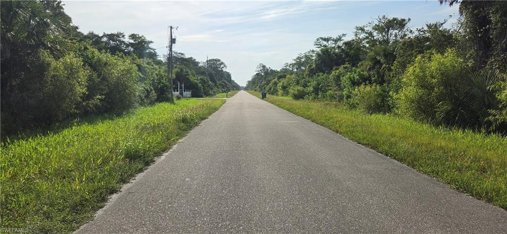 Paved road extending into the distance, flanked by abundant natural foliage and green verges