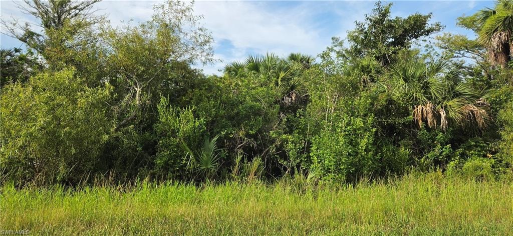 Expansive natural landscape featuring lush green foliage and mature trees